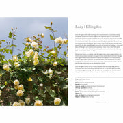 Hardcover book titled "Vintage Roses" by Jane Eastoe, featuring colorful illustrations of various rose varieties for home and garden.