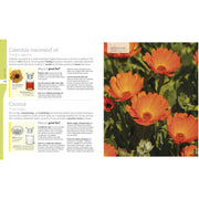 Neal's Yard Remedies Essential Oils - The Book Bundle