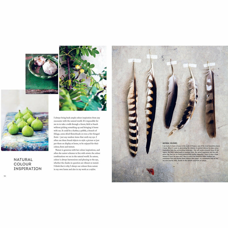 In the Mood for Colour: Perfect palettes for creative interiors - The Book Bundle