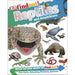 DK Findout! Series with Fun Facts and Amazing Pictures 4 Books Collection Set (Birds, Bugs, Sharks, Reptiles and Amphibians) - The Book Bundle