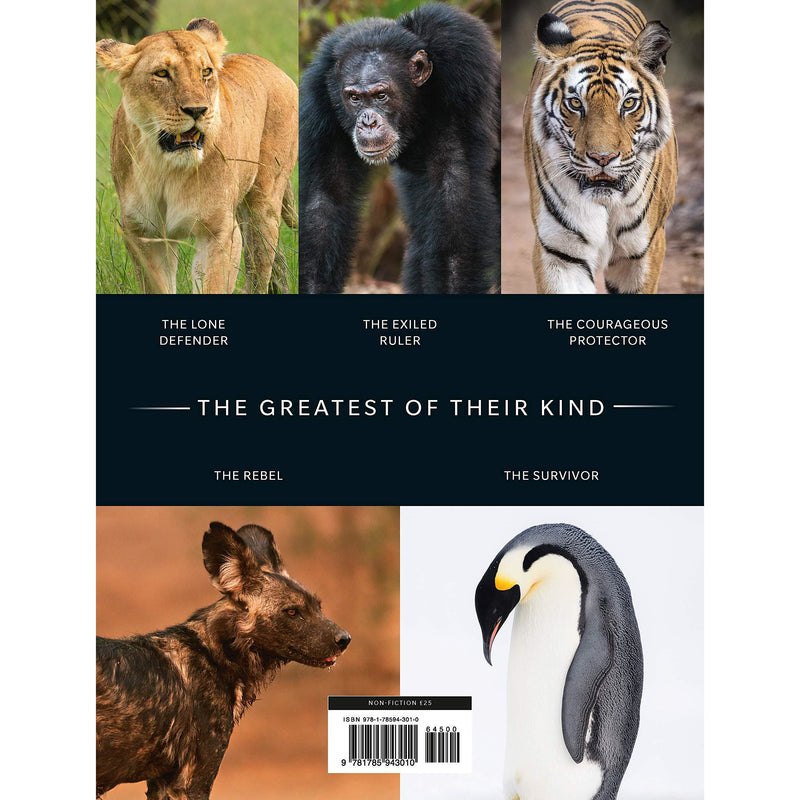 Dynasties: The Rise and Fall of Animal Families (TV Tie in) - The Book Bundle