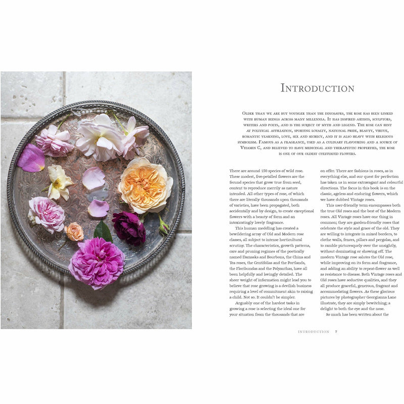 Hardcover book titled "Vintage Roses" by Jane Eastoe, featuring colorful floral illustrations on the cover.