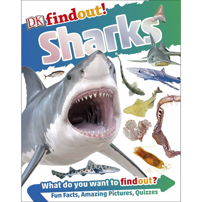 DK Findout! Series with Fun Facts and Amazing Pictures 4 Books Collection Set (Birds, Bugs, Sharks, Reptiles and Amphibians) - The Book Bundle