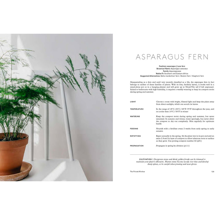 House of Plants: Living with Succulents, Air Plants and Cacti - The Book Bundle