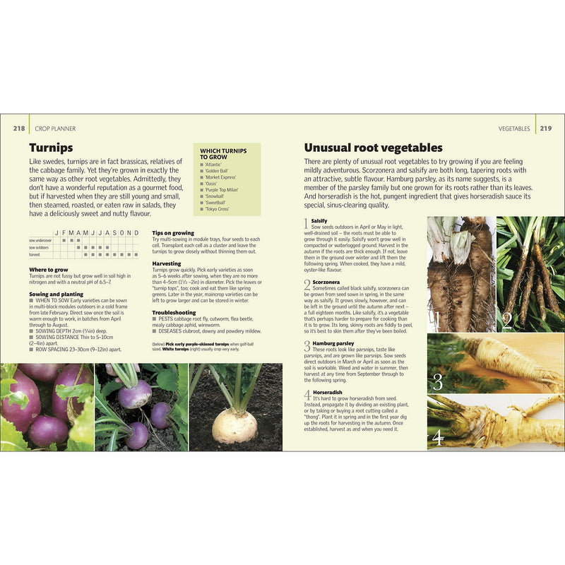 Hardcover book titled "Allotment Month by Month" by Alan Buckingham, featuring gardening tips for growing fruits and vegetables.
