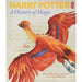 Harry Potter - A History of Magic: The Book of the Exhibition - The Book Bundle