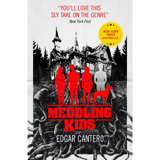 Meddling Kids - The Book Bundle