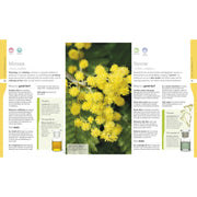 Neal's Yard Remedies Essential Oils - The Book Bundle