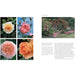 English Garden By Ursula Buchan - The Book Bundle