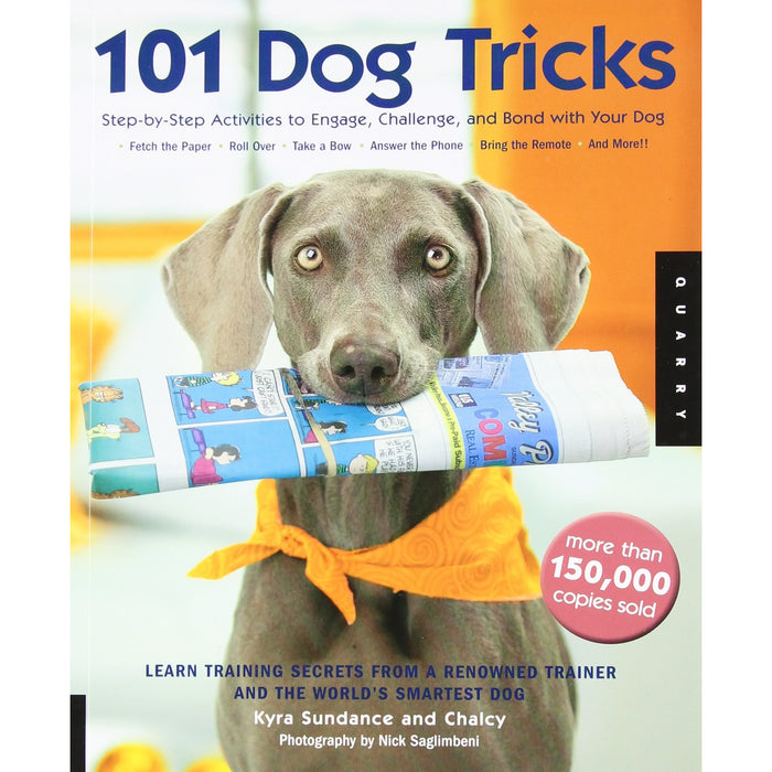 101 dog tricks, brain games for dogs and total recall 3 books collection set - The Book Bundle