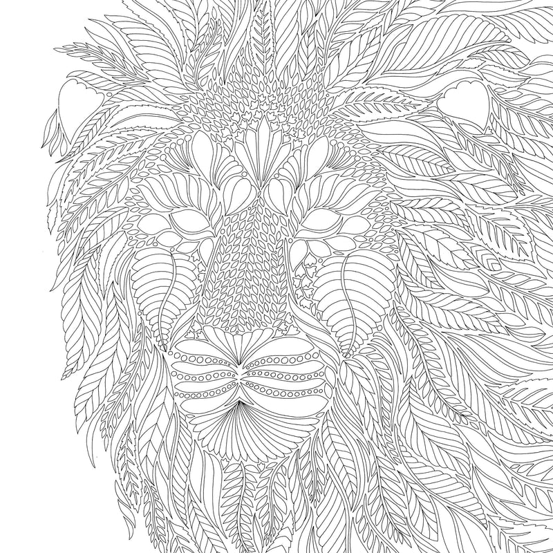 Illustration from Millie Marotta's Wild Savannah coloring book showing detailed animal and savannah scene on a paperback cover.