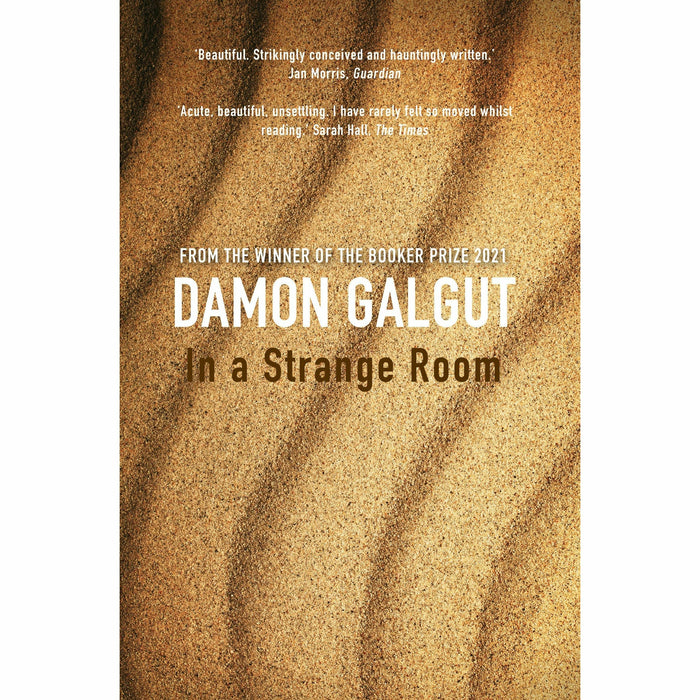 THE PROMISE Series By Damon Galgut 4 Books Set (Promise, Arctic Summer, In a Strange Room, The Impostor) - The Book Bundle