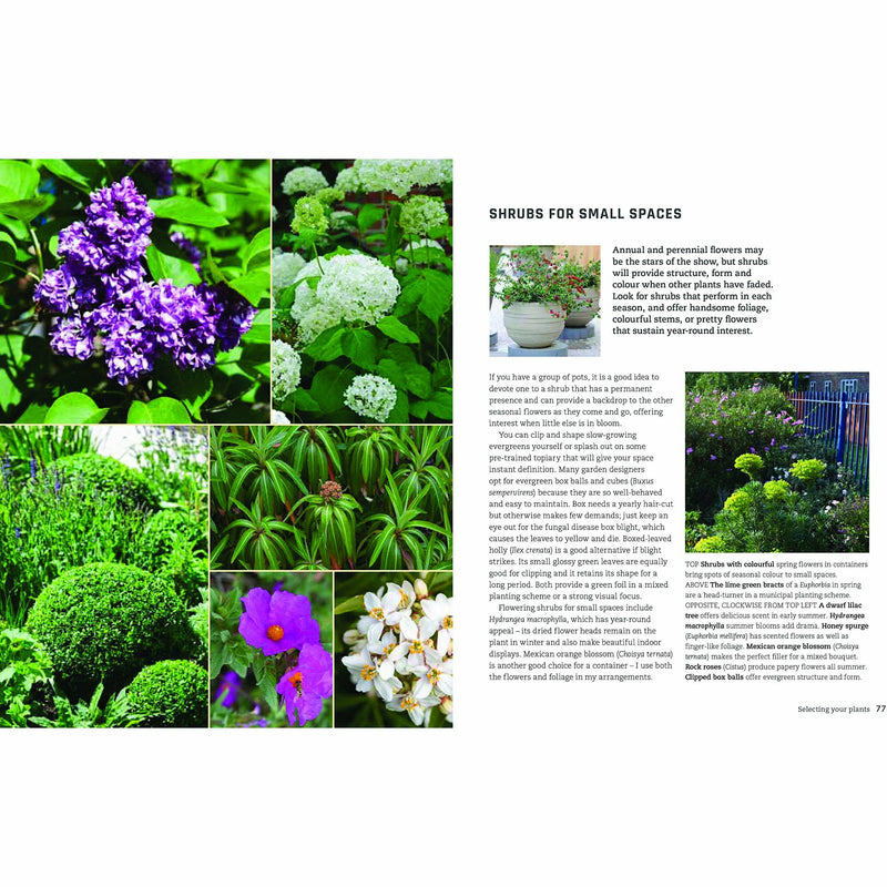 Urban Flowers: Creating abundance in a small city garden - The Book Bundle