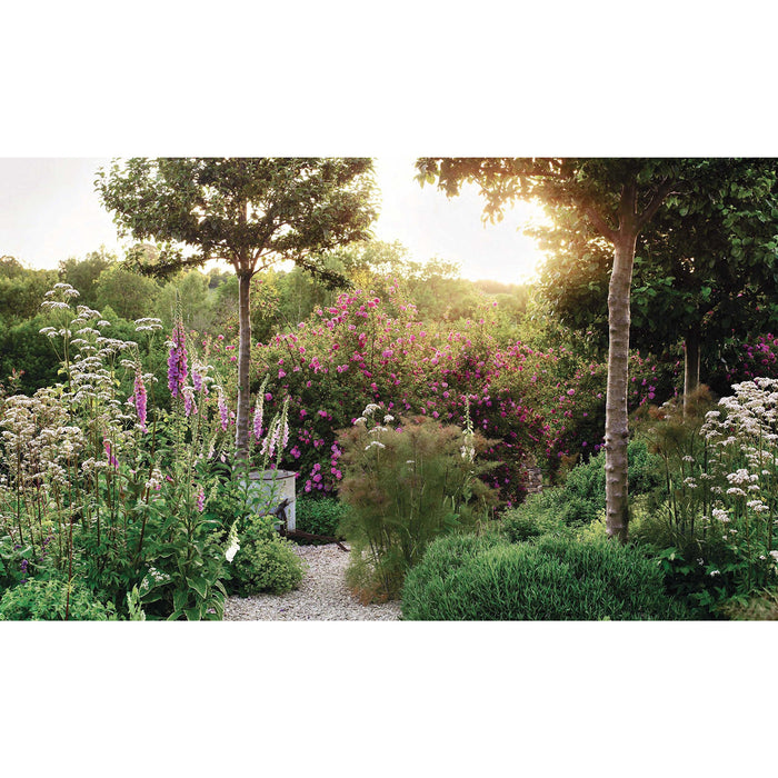 The Thoughtful Gardener: An Intelligent Approach to Garden Design - The Book Bundle