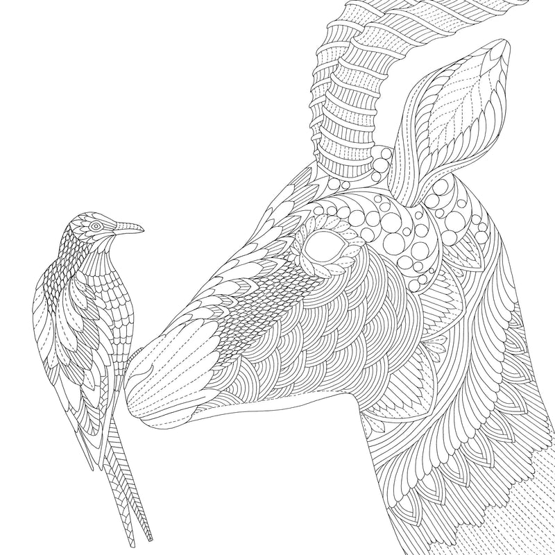 Open paperback coloring book featuring intricate wildlife illustrations of savannah animals by Millie Marotta from Wild Savannah series.