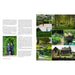 Secret Gardens of East Anglia - The Book Bundle