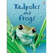 Usborne Beginners Nature & Science  20 Books Collection Set (Ants,Spider,Space) - The Book Bundle