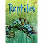 Usborne Beginners Nature & Science  20 Books Collection Set (Ants,Spider,Space) - The Book Bundle
