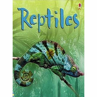 Usborne Beginners Nature & Science  20 Books Collection Set (Ants,Spider,Space) - The Book Bundle