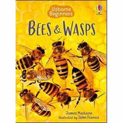 Usborne Beginners Nature & Science  20 Books Collection Set (Ants,Spider,Space) - The Book Bundle