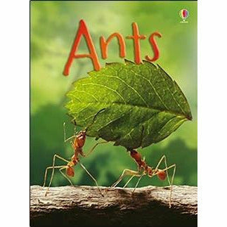 Usborne Beginners Nature & Science  20 Books Collection Set (Ants,Spider,Space) - The Book Bundle