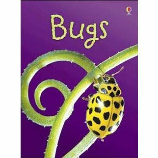 Usborne Beginners Nature & Science  20 Books Collection Set (Ants,Spider,Space) - The Book Bundle