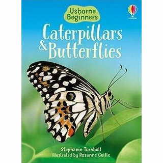 Usborne Beginners Nature & Science  20 Books Collection Set (Ants,Spider,Space) - The Book Bundle
