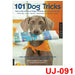 101 Dog Tricks: Step by Step Activities to Engage, Challenge, and Bond with Your Dog - The Book Bundle