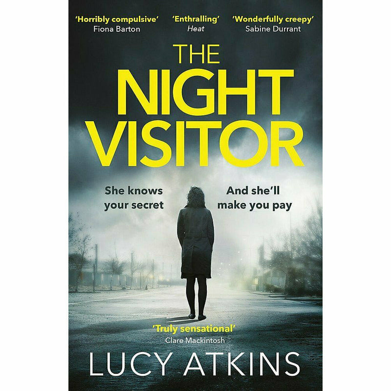 Lucy Atkins 4 Books Collection Set (Missing, Other Child, Night, Magpie) - The Book Bundle