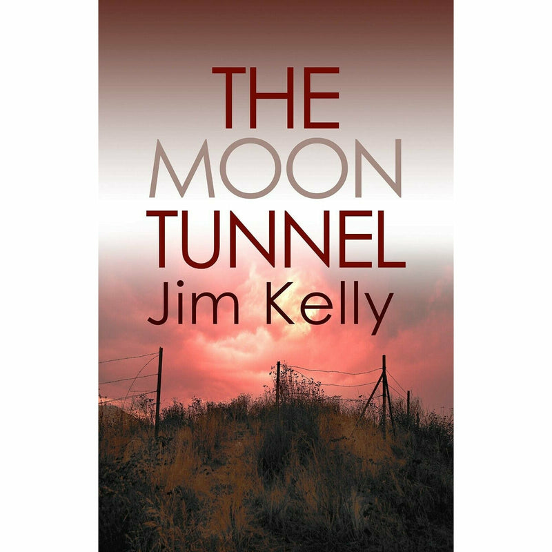 Jim Kelly Dryden Mysteries Collection 3 Books Set (Water Clock,Fire Baby,Moon) - The Book Bundle